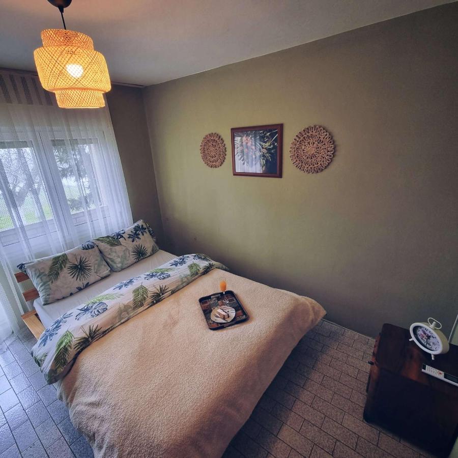 Holiday home Casa Horizont Slankamen Vinogradi