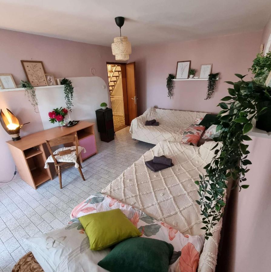 Holiday home Casa Horizont Slankamen Vinogradi