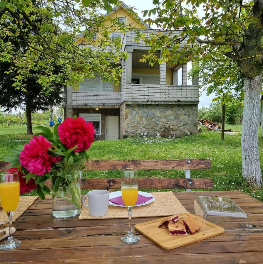 Casa Horizont Holiday home Slankamen Vinogradi
