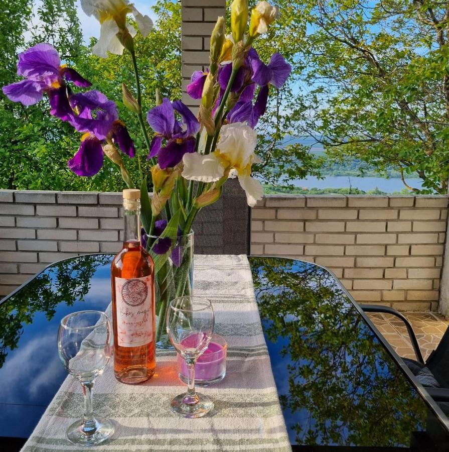 Casa Horizont Holiday home Slankamen Vinogradi