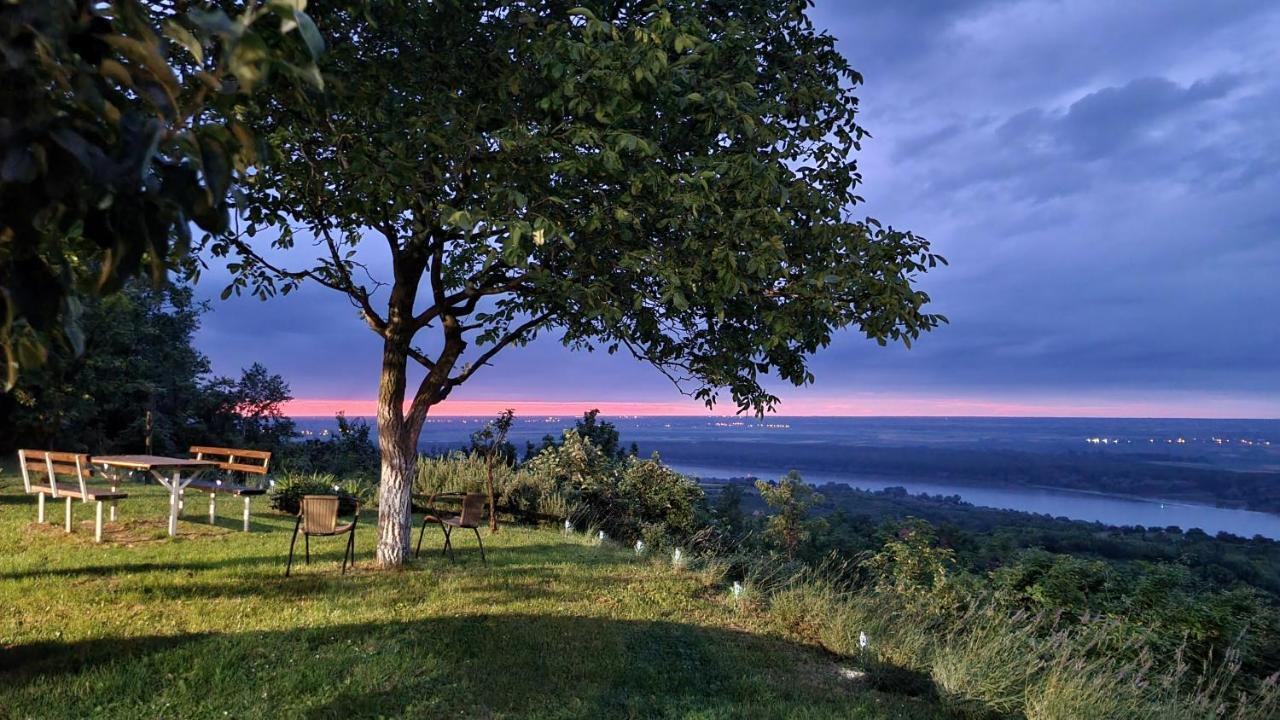 Casa Horizont Slankamen Vinogradi