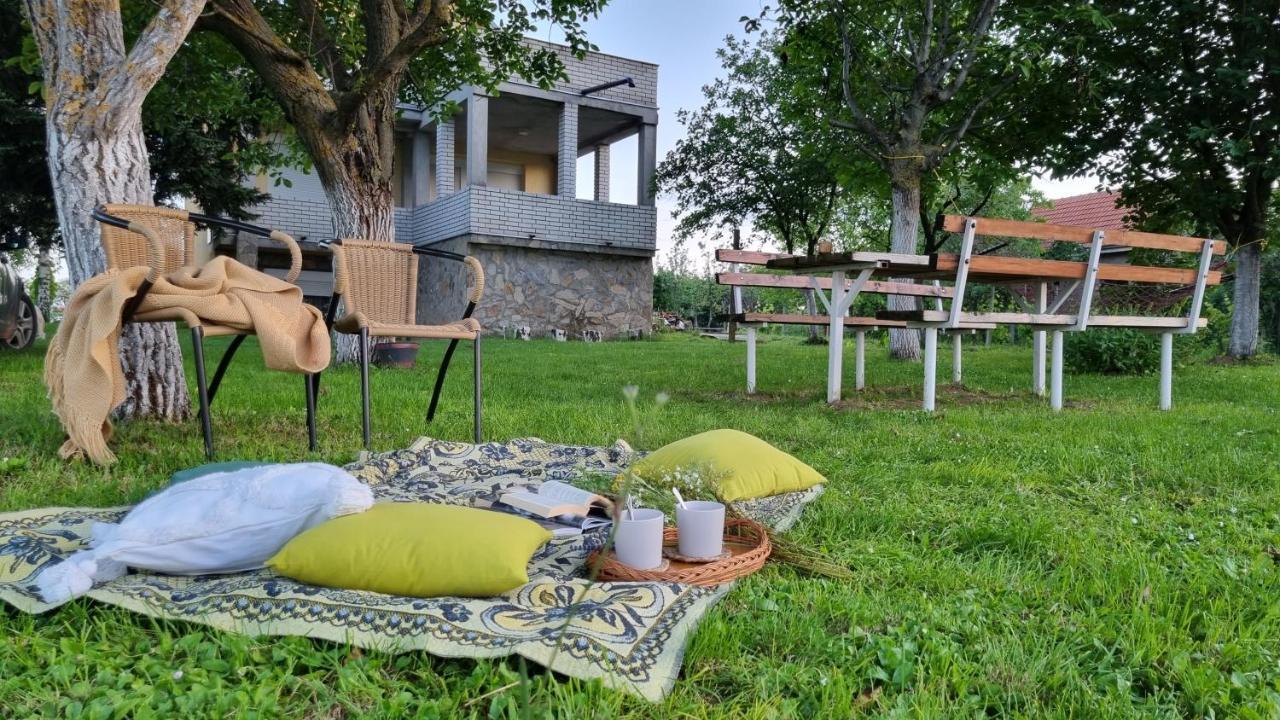Casa Horizont Slankamen Vinogradi