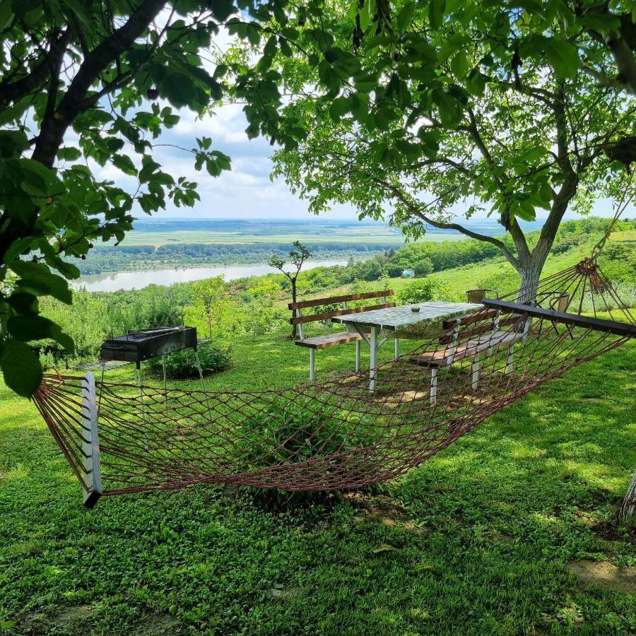 Casa Horizont Holiday home Slankamen Vinogradi
