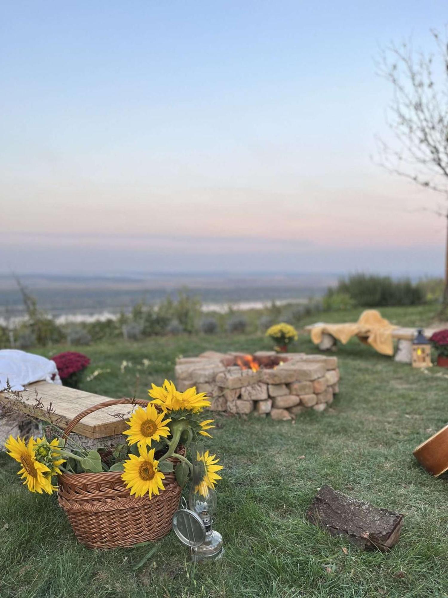 Holiday home Casa Horizont Slankamen Vinogradi