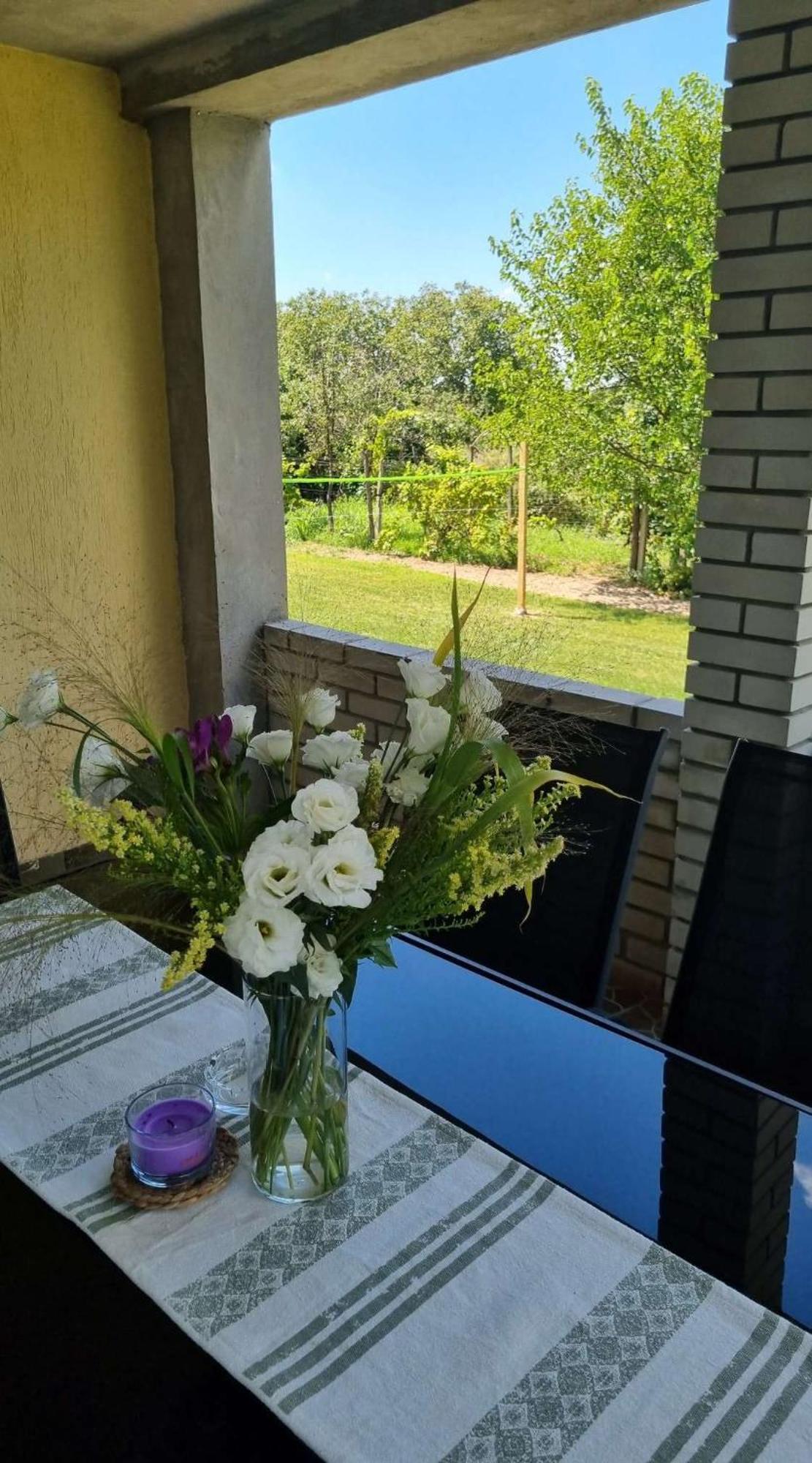 Casa Horizont Slankamen Vinogradi